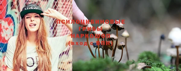 трава Богородицк
