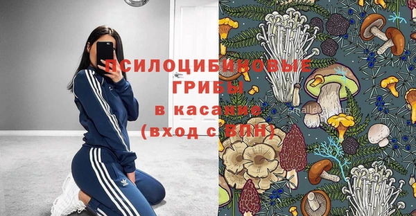 прущая мука Богородск