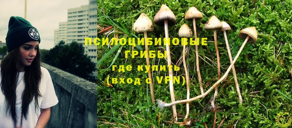 бутират Ленинск-Кузнецкий