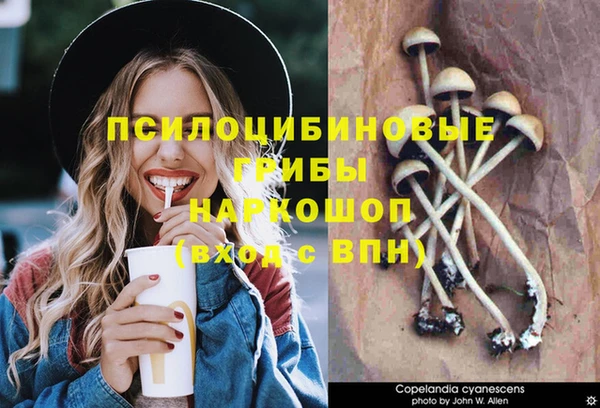 трава Богородицк