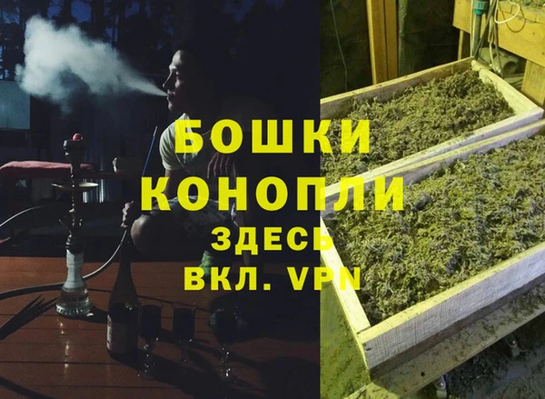 трава Богородицк