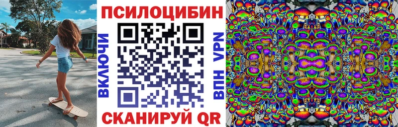 Галлюциногенные грибы Psilocybine cubensis Кировград